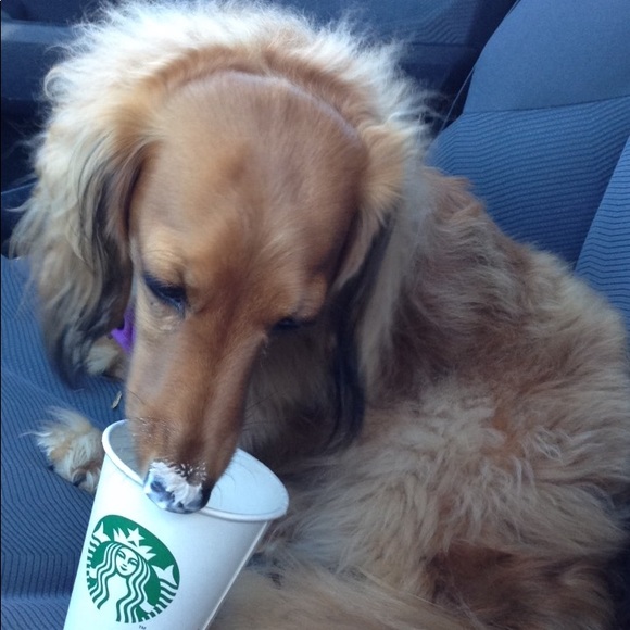 Meet your Posher, Emily - Picture 1 of 1